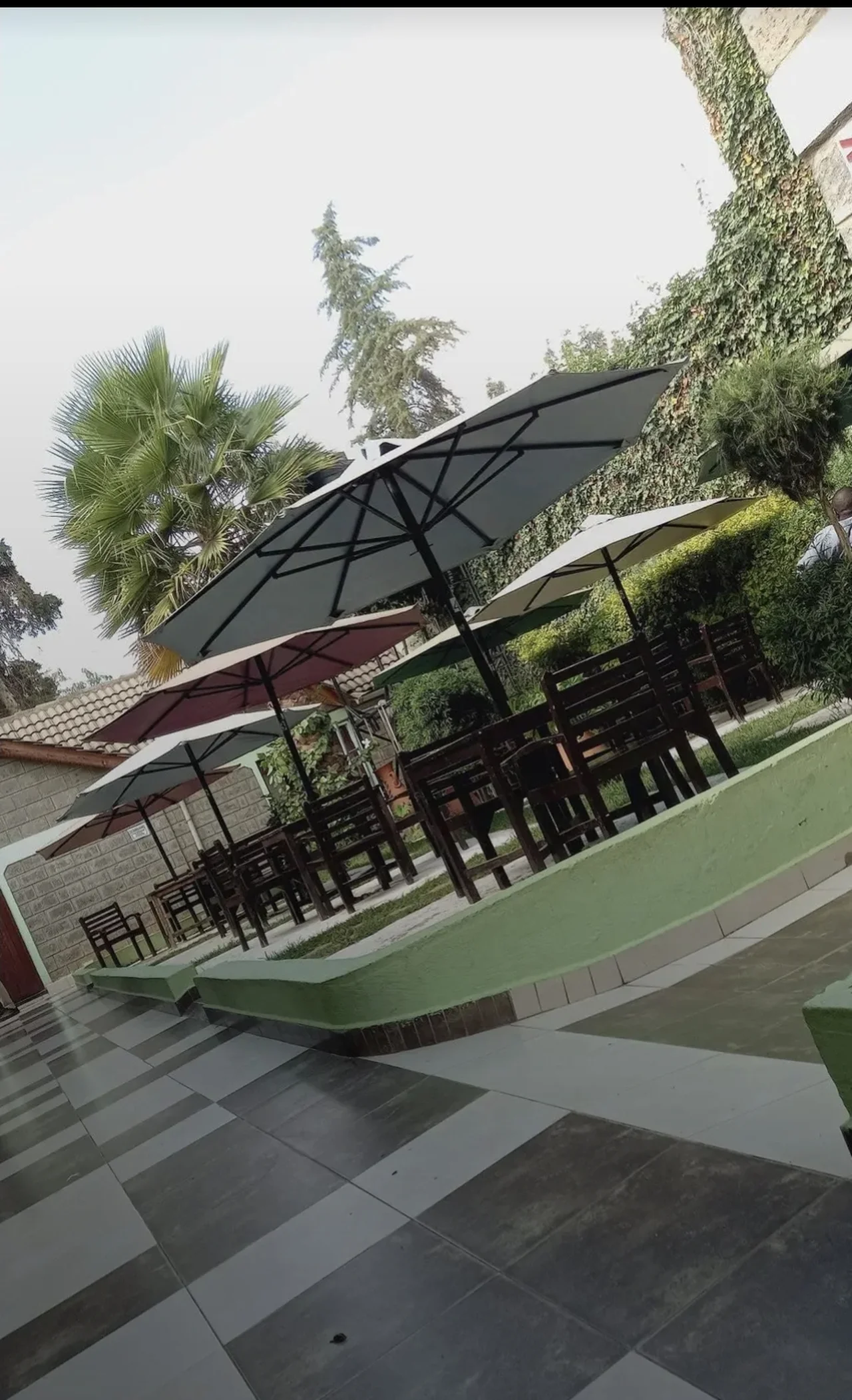 The Shades outdoor garden — umbrella tables, palm trees and ivy-covered walls in the afternoon